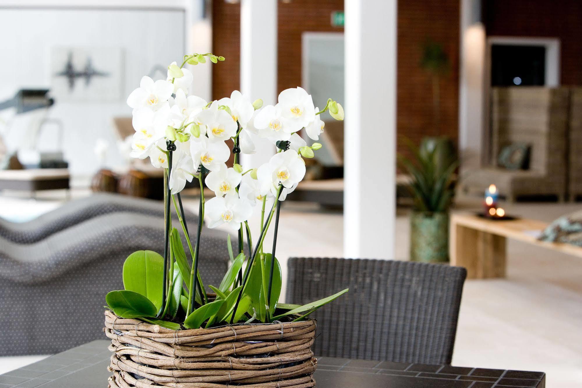 Hotel Hesselet Nyborg Dış mekan fotoğraf